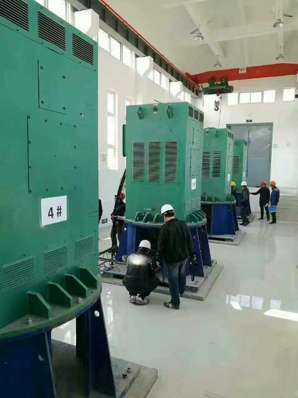 逊克某污水处理厂使用我厂的立式高压电机安装现场生产厂家
