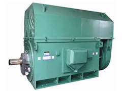 逊克YKK系列高压电机一年质保